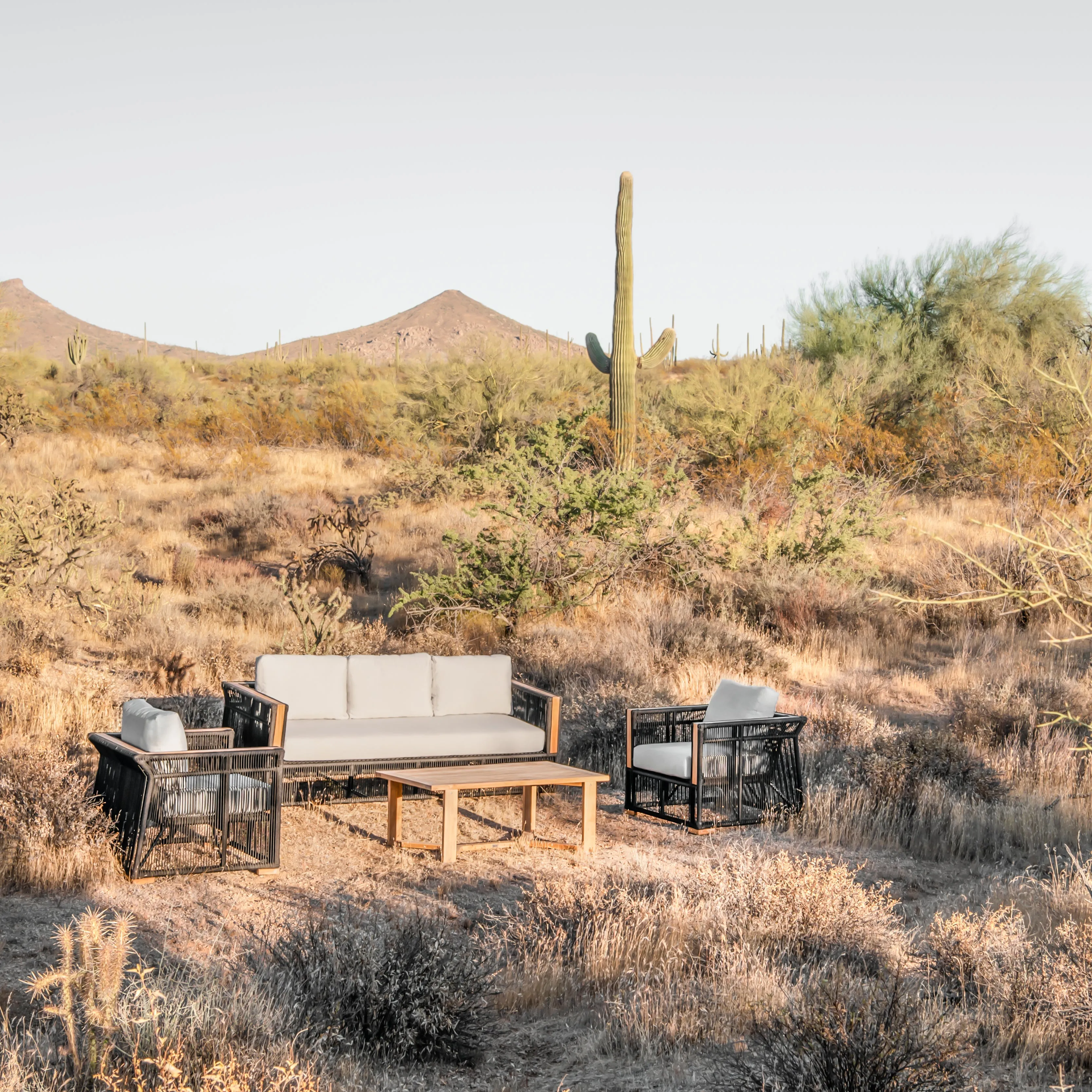 Breeze Club Chair