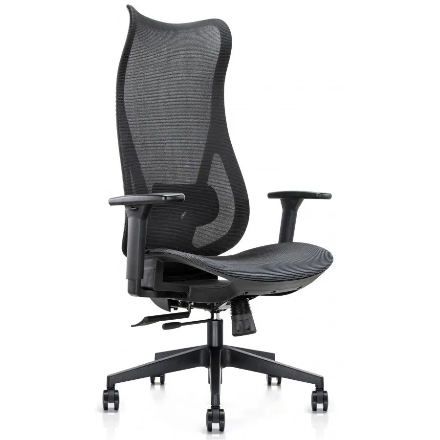 Mala ergonomic high back task chair with adjustable lumbar support