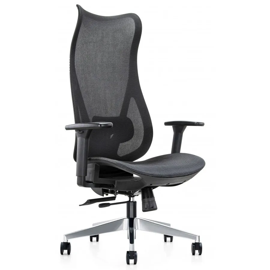 Mala ergonomic high back task chair with adjustable lumbar support