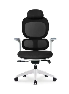 Modern Executive Ergonomic Office Chair With Sliding Seat and Headrest, White Frame for Office, Home and Shops